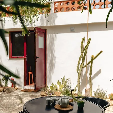 Maison De Et Jardin Botanique A 600m De La בית נופש