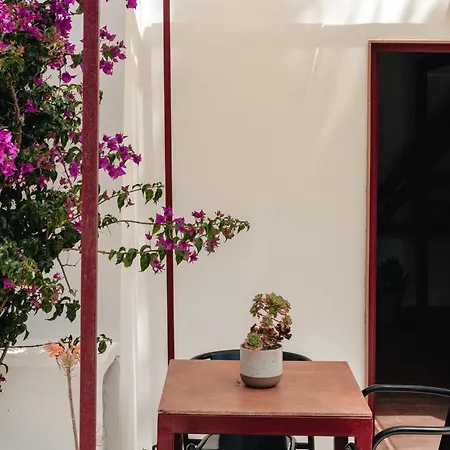 בית נופש Maison De Et Jardin Botanique A 600m De La