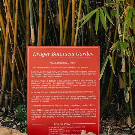 Maison De Et Jardin Botanique A 600m De La * אלבופיירה