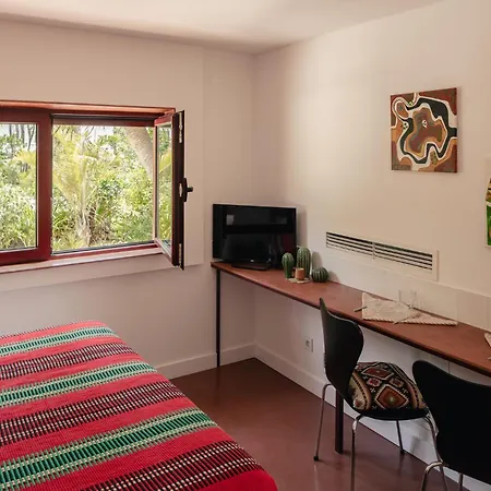 Maison De Et Jardin Botanique A 600m De La בית נופש אלבופיירה
