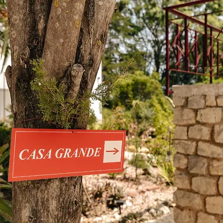 Maison De Et Jardin Botanique A 600m De La * אלבופיירה