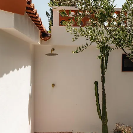 Maison De Et Jardin Botanique A 600m De La אלבופיירה